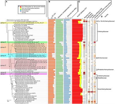 Environmental Metagenomic Assemblies Reveal Seven New Highly Divergent Chlamydial Lineages and Hallmarks of a Conserved Intracellular Lifestyle